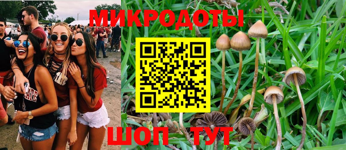 Псилоцибиновые грибы Psilocybe  сколько стоит  Нижнекамск  Вход с VPN 